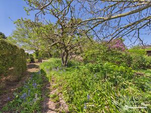 Garden- click for photo gallery
